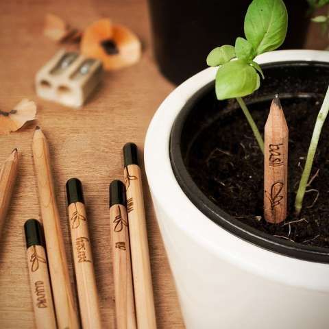 Plantable stationary